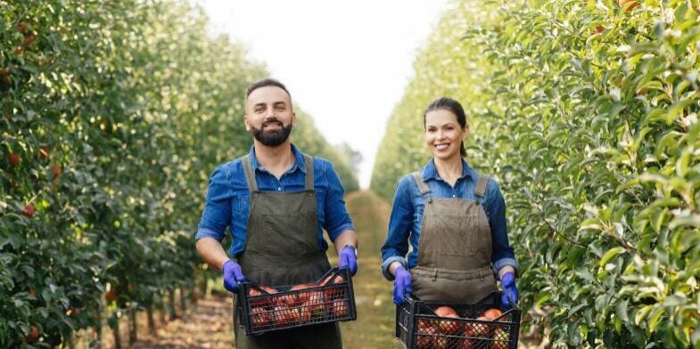 great-harvest-fruit-picking-and-family-business-WLNPJ6Z